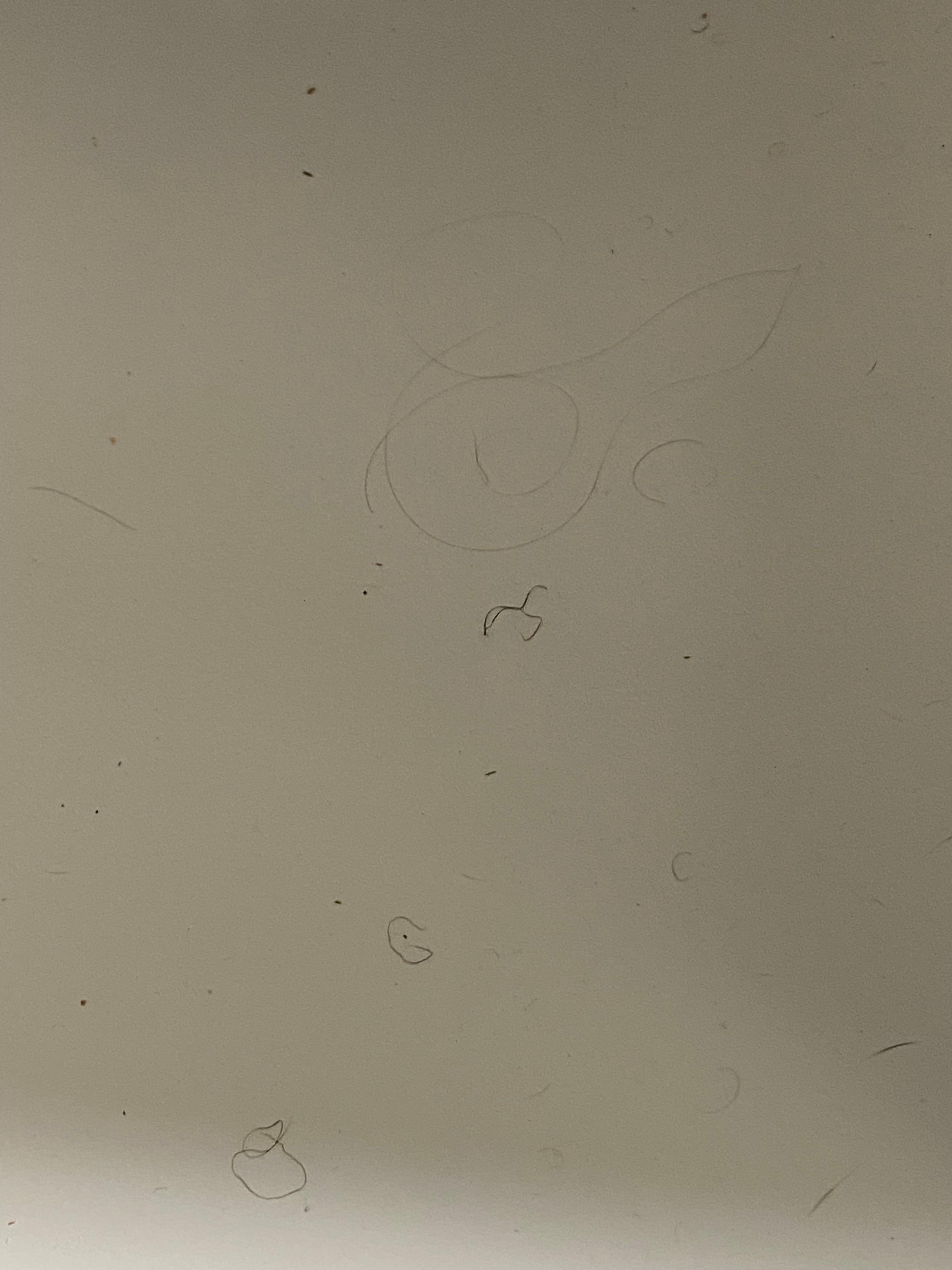 Dryer tube inside shows lots of hair was all over tub along with dirt