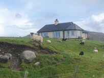 Coming back from a dog walk