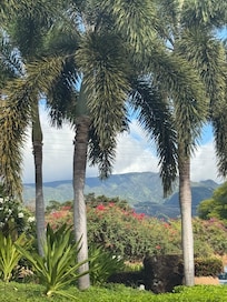 Waiting for the trolley