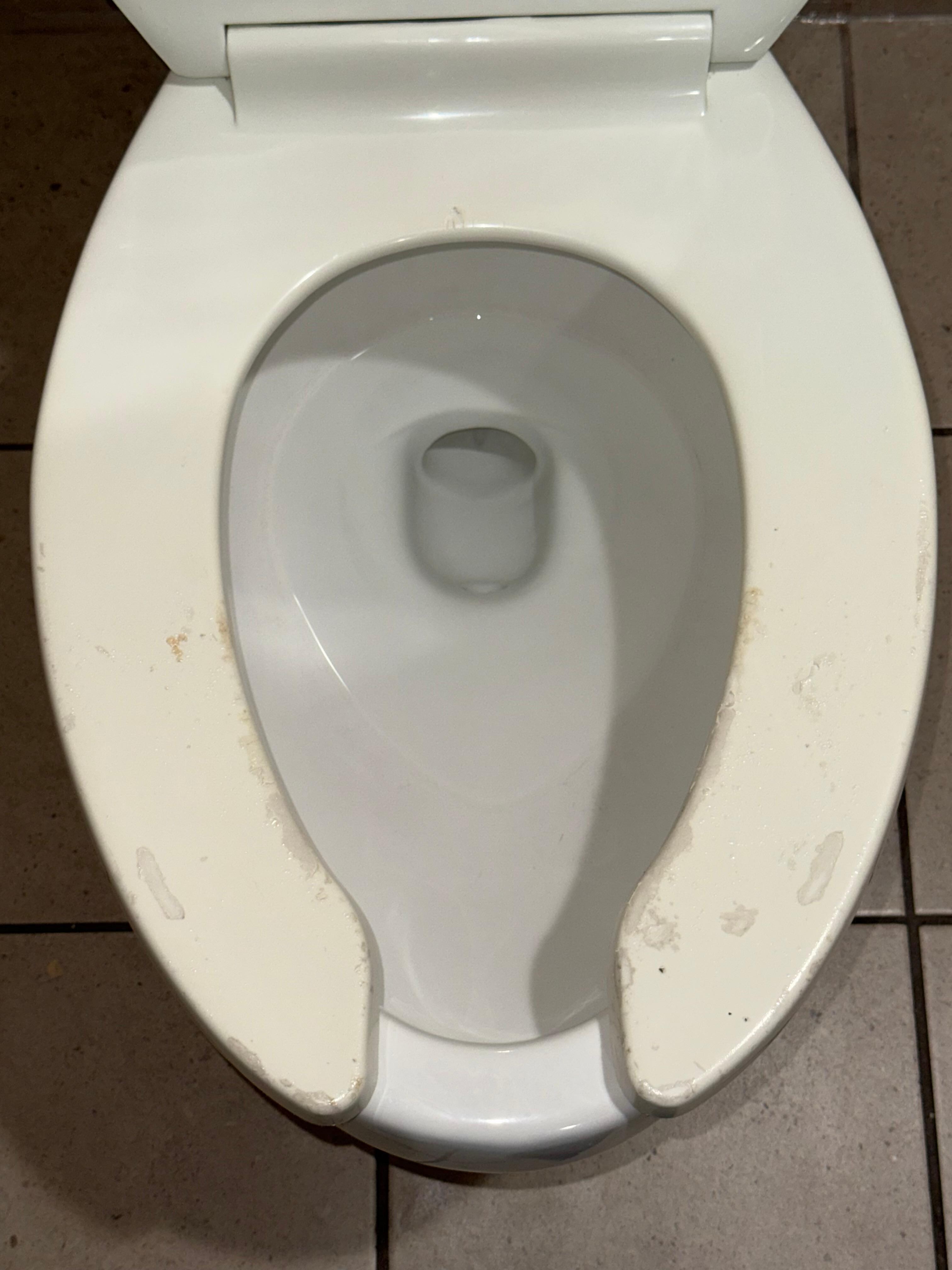 Toilet seats need to be replaced and cleaned properly 