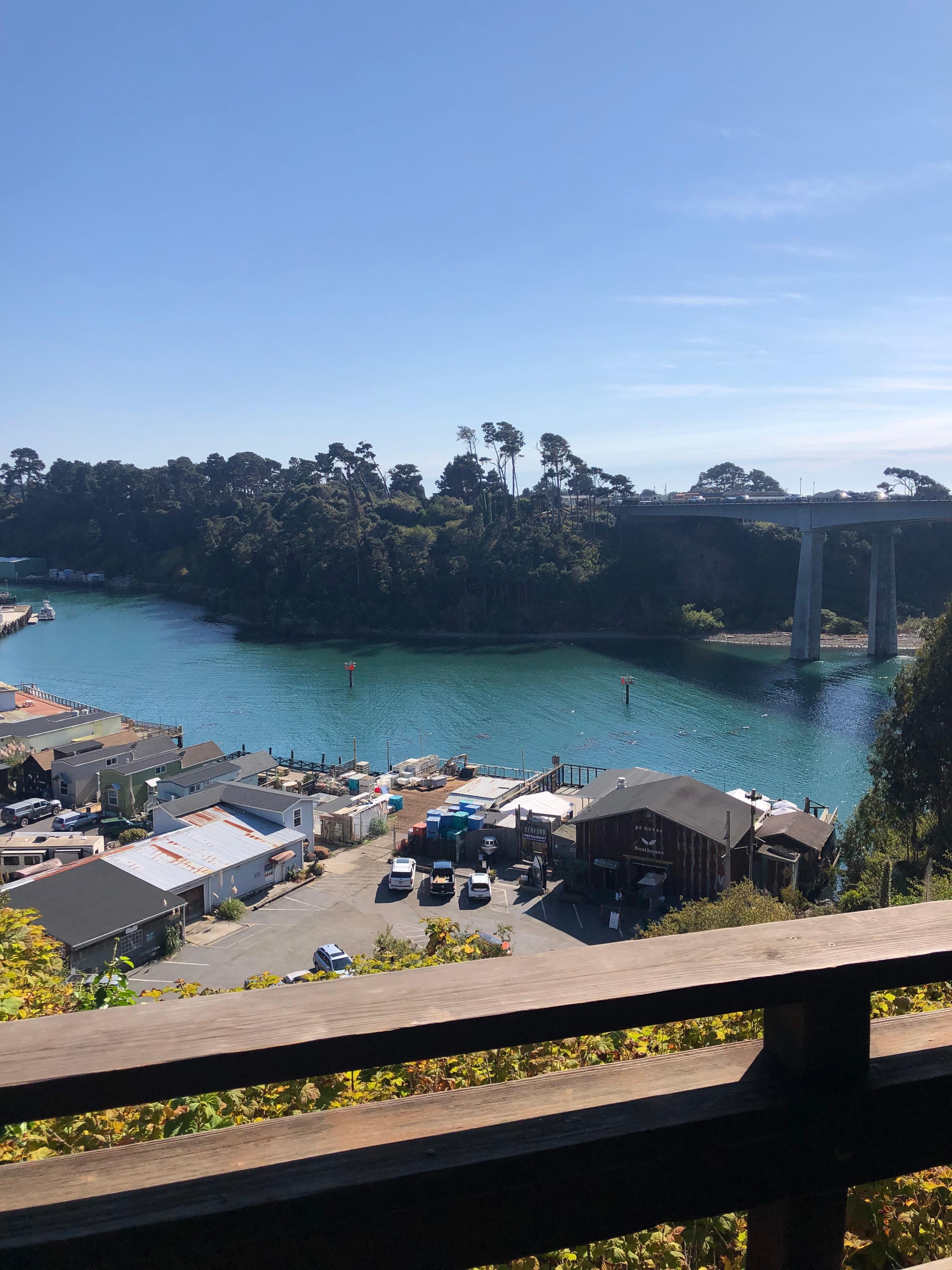 Noyo Harbor view from our room