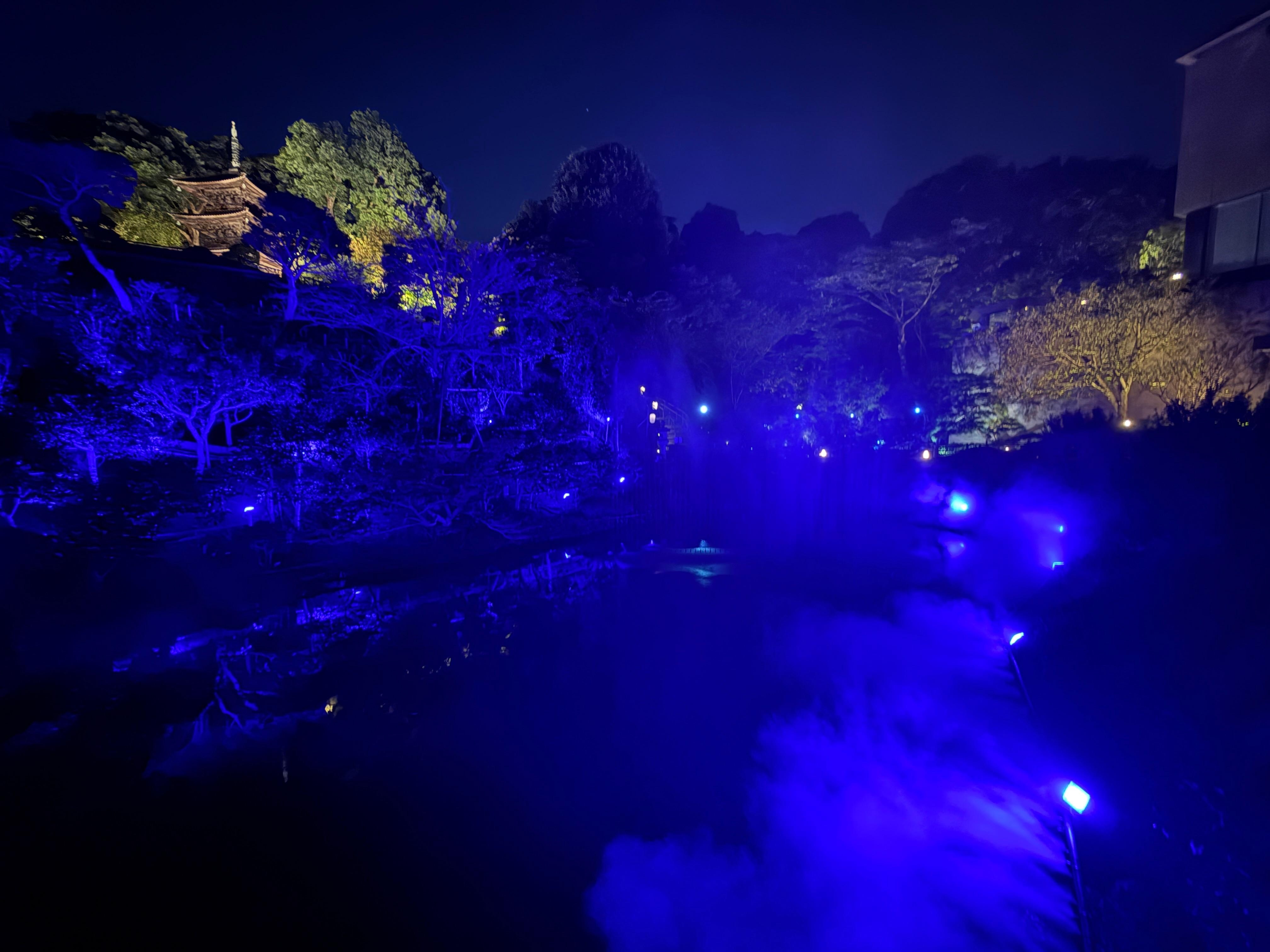 Night view of garden