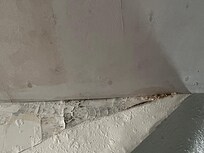 Mold in living/sleeping room