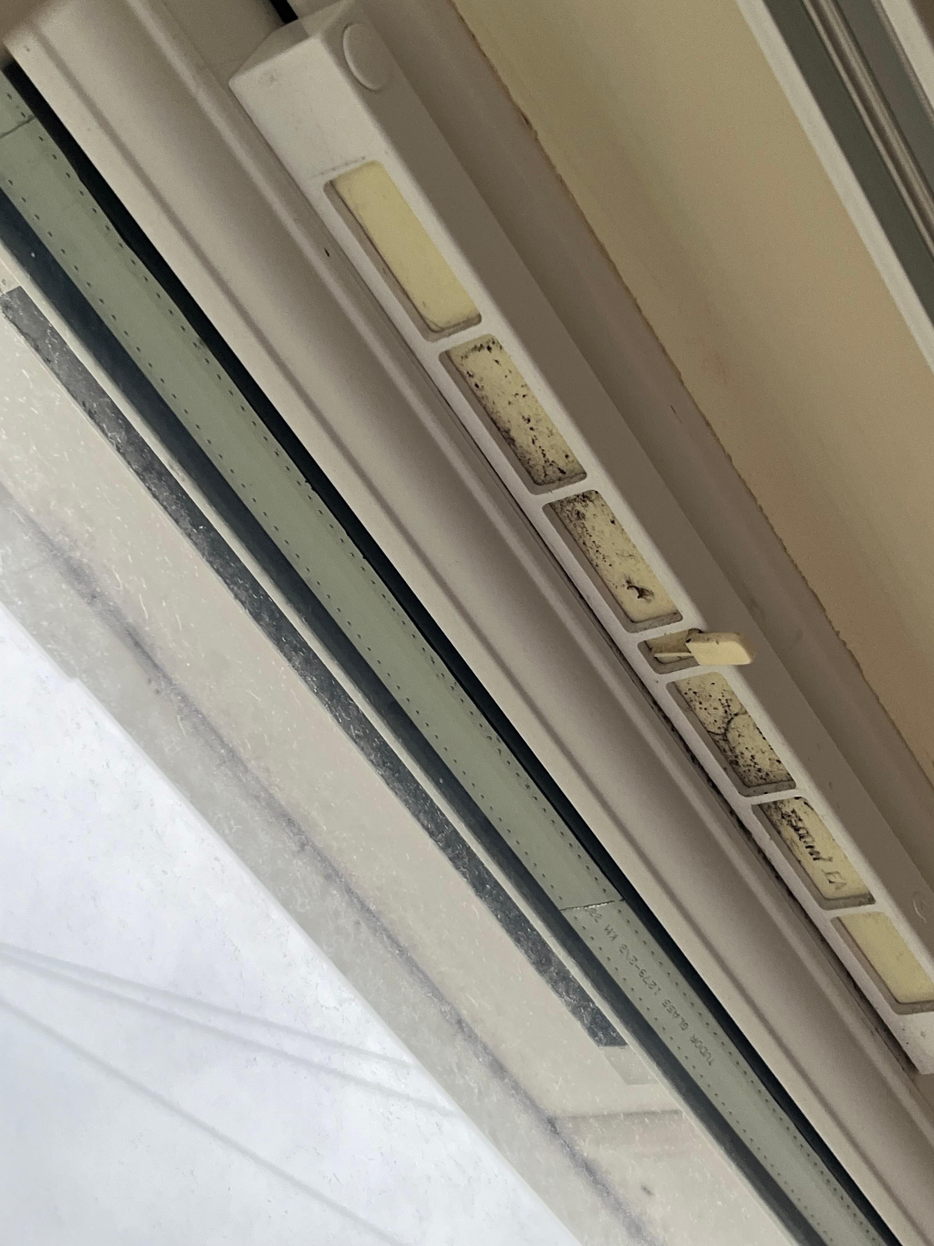 Mould in air vents