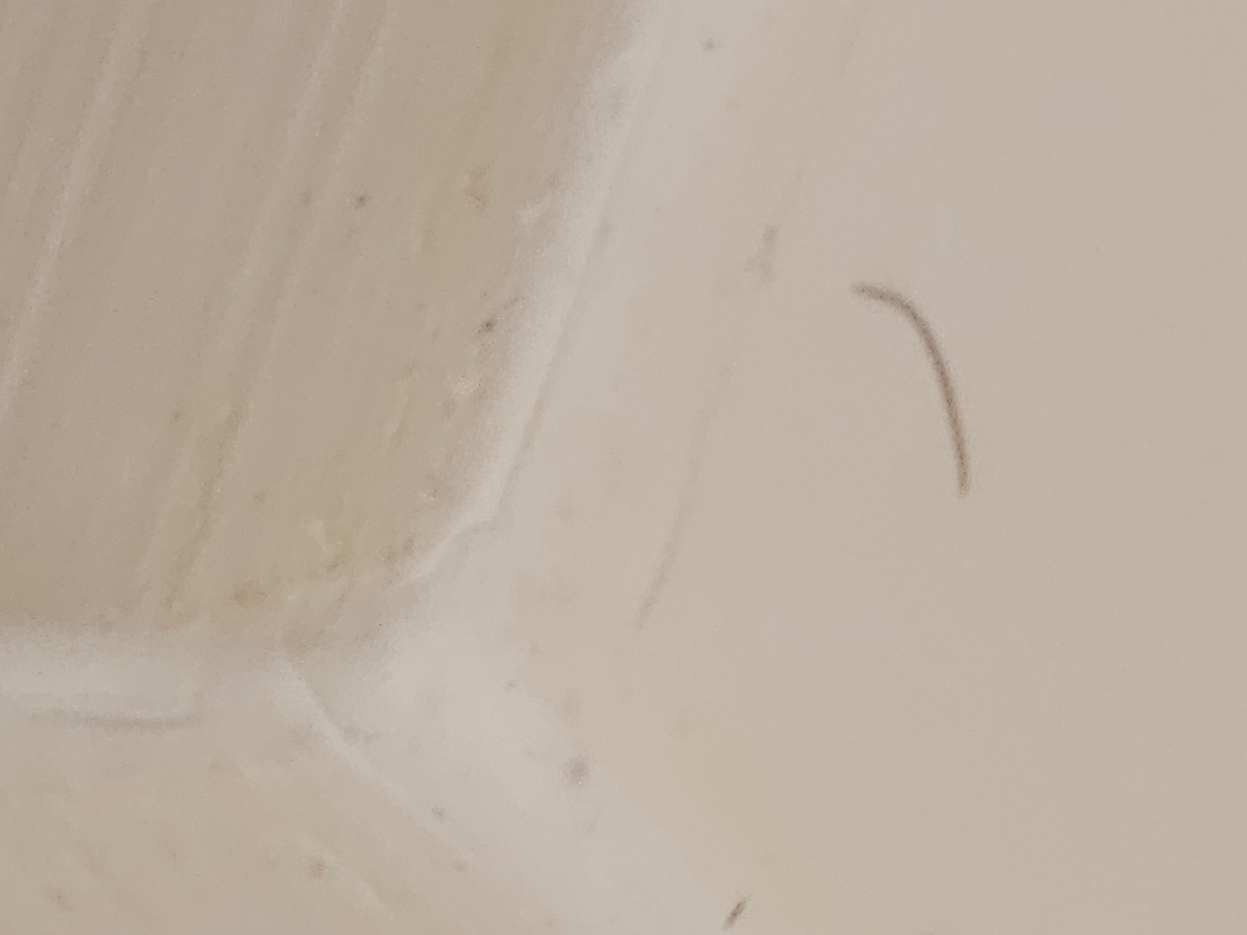 Short and long black hairs throughout bathtub and on floor. 