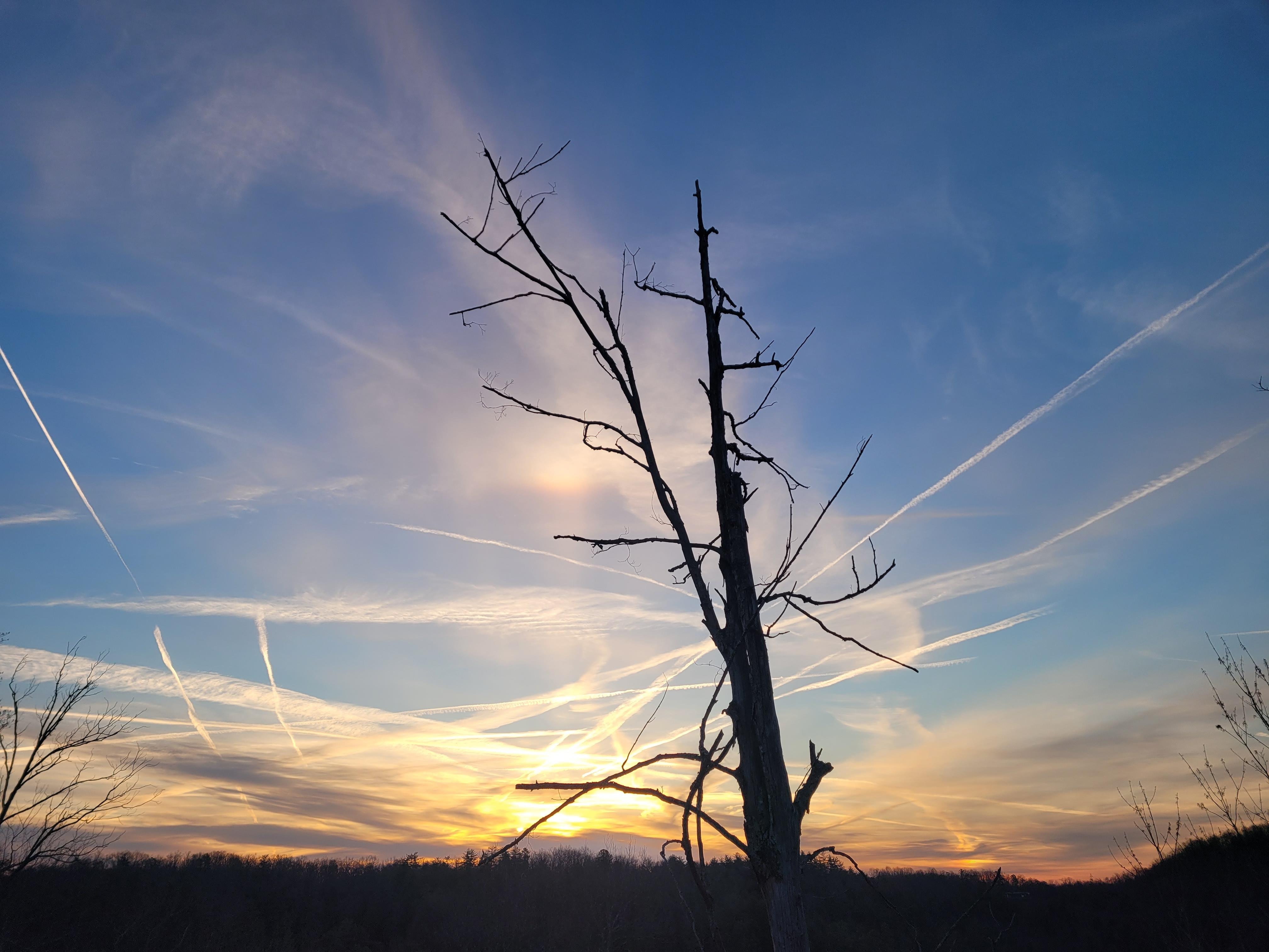 Beautiful  sunrise each morning.