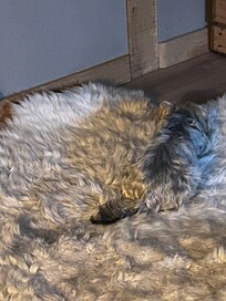 Spot Tetley on his favourite. He tested them all.