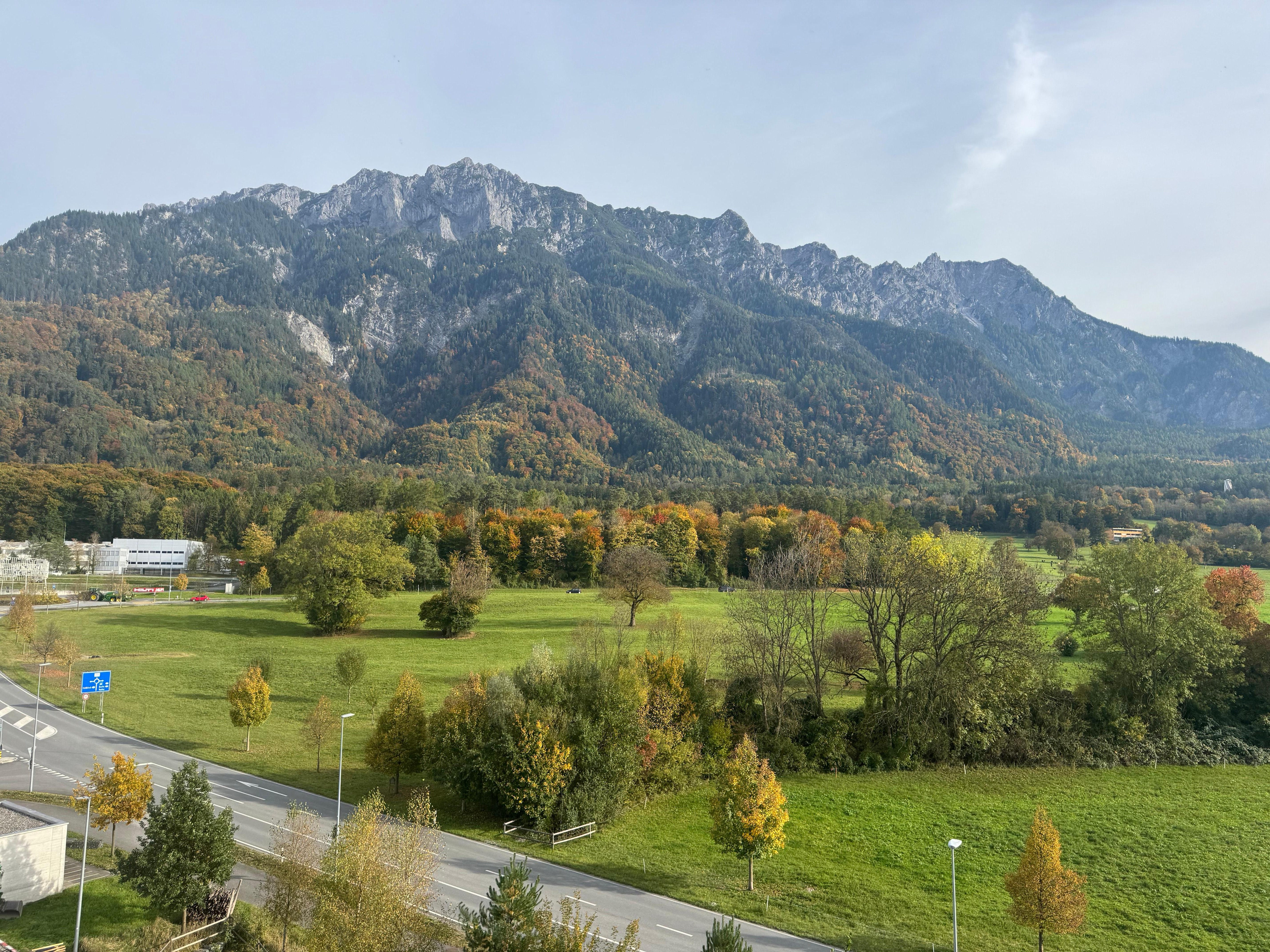 View from the window