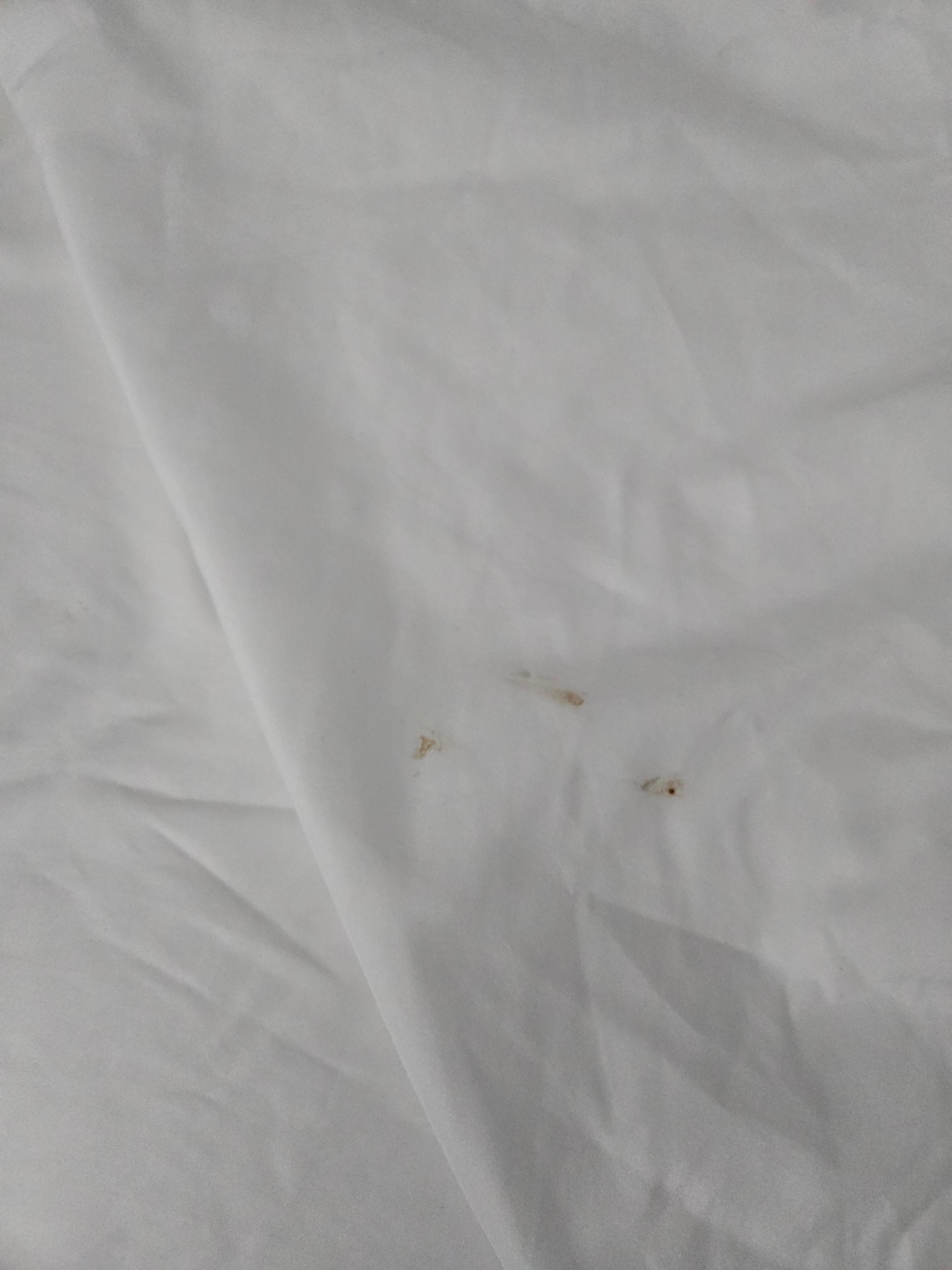 Brown stains on the top sheet on the other queen bed.  