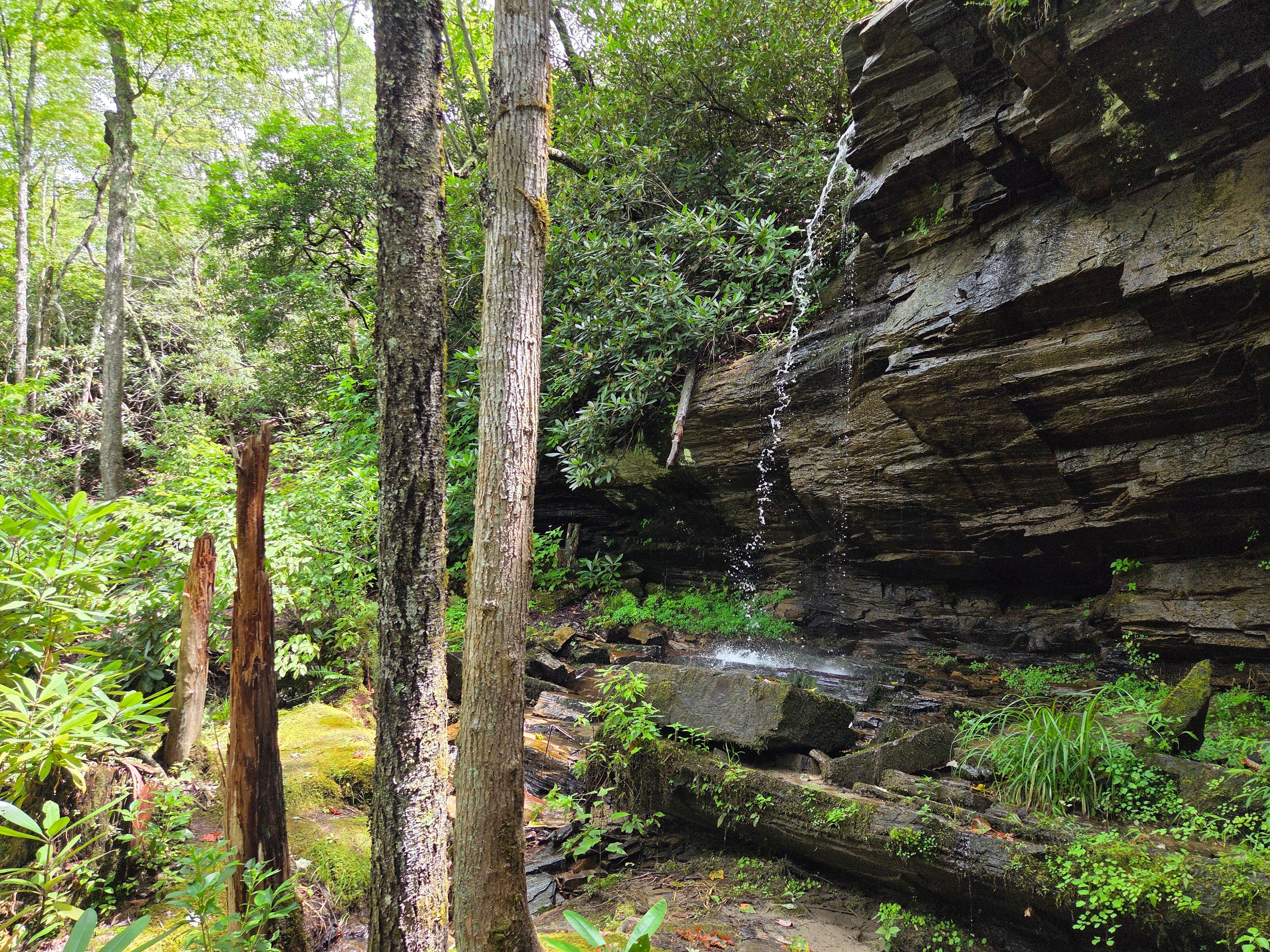 Private waterfall a short hike down the property