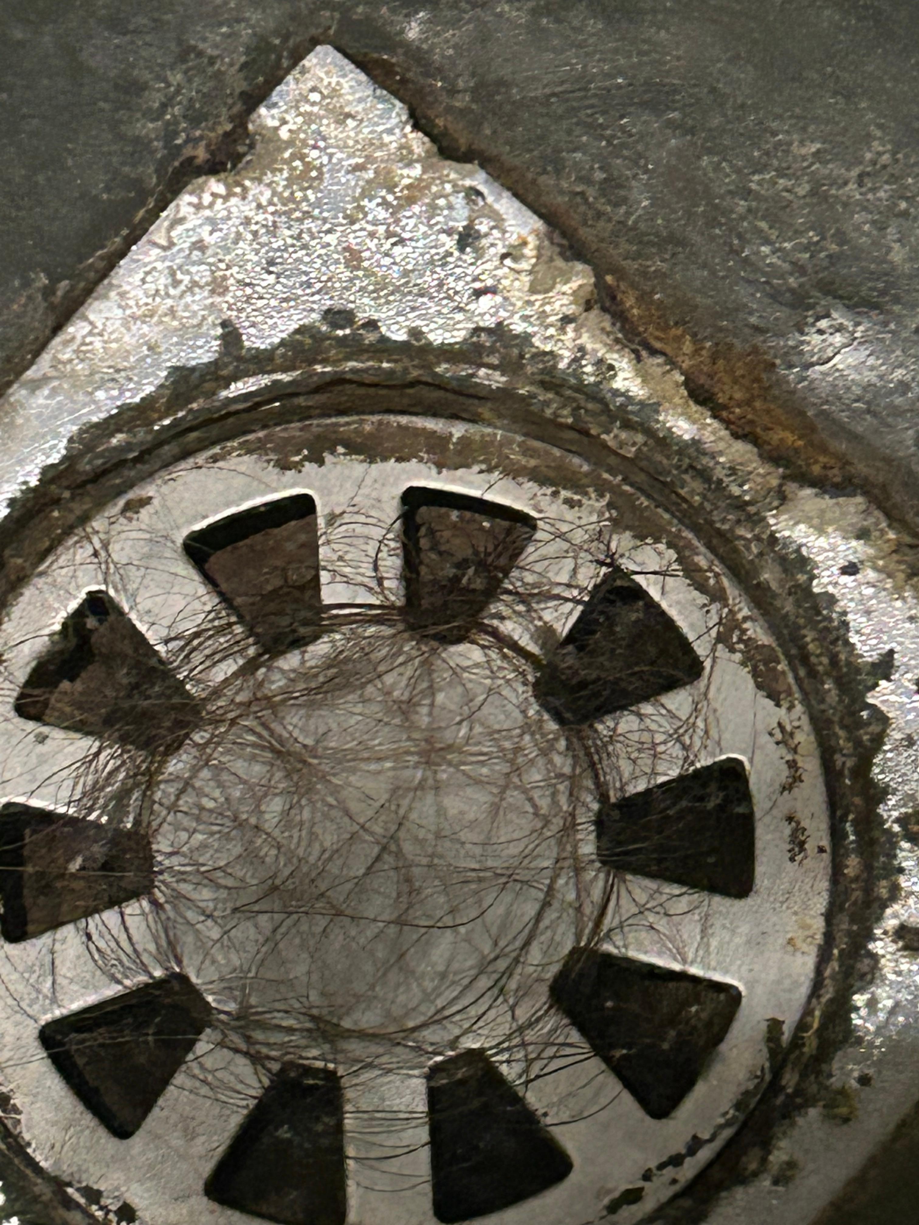 Drain in shower was old and filled with hair.