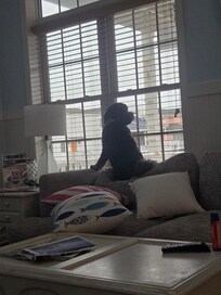 Theo loved the view