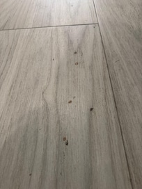 Blood stains on walls and floors