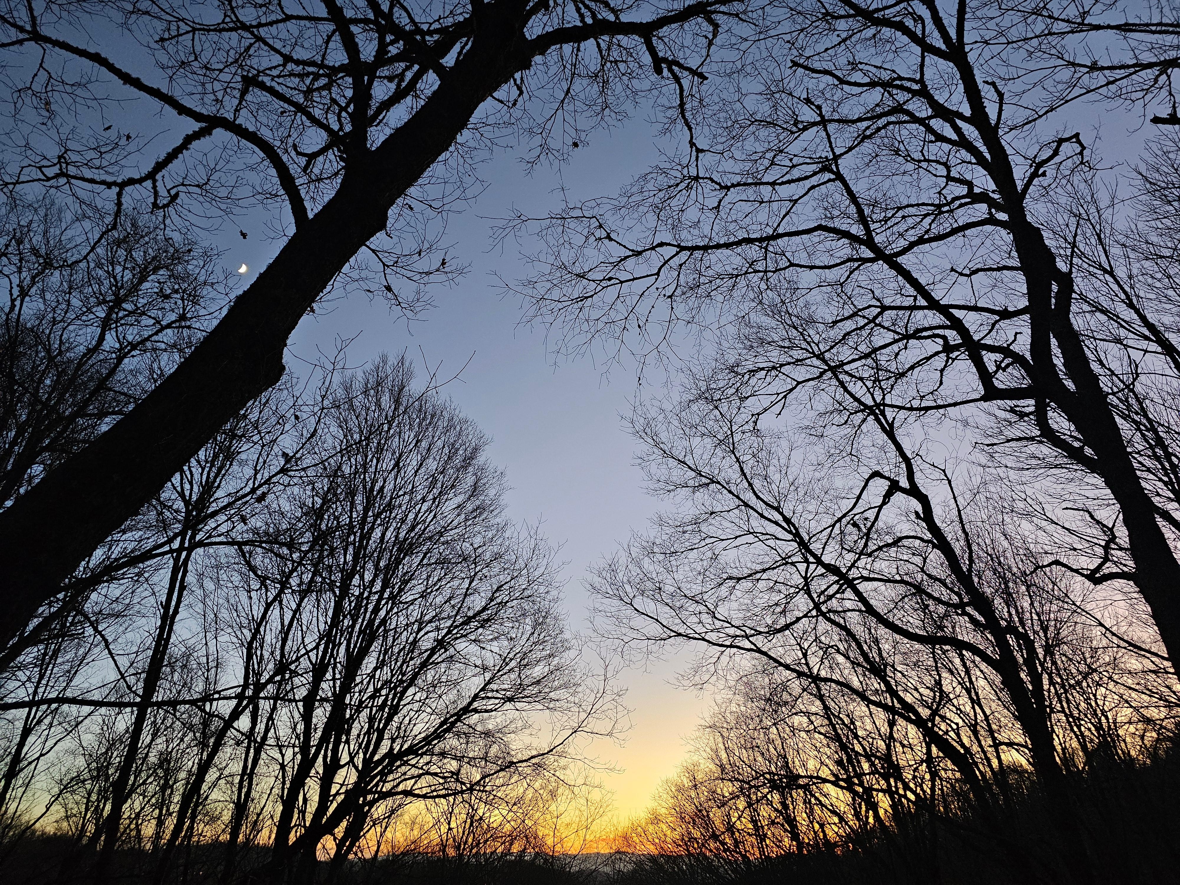 Sunset from back deck.