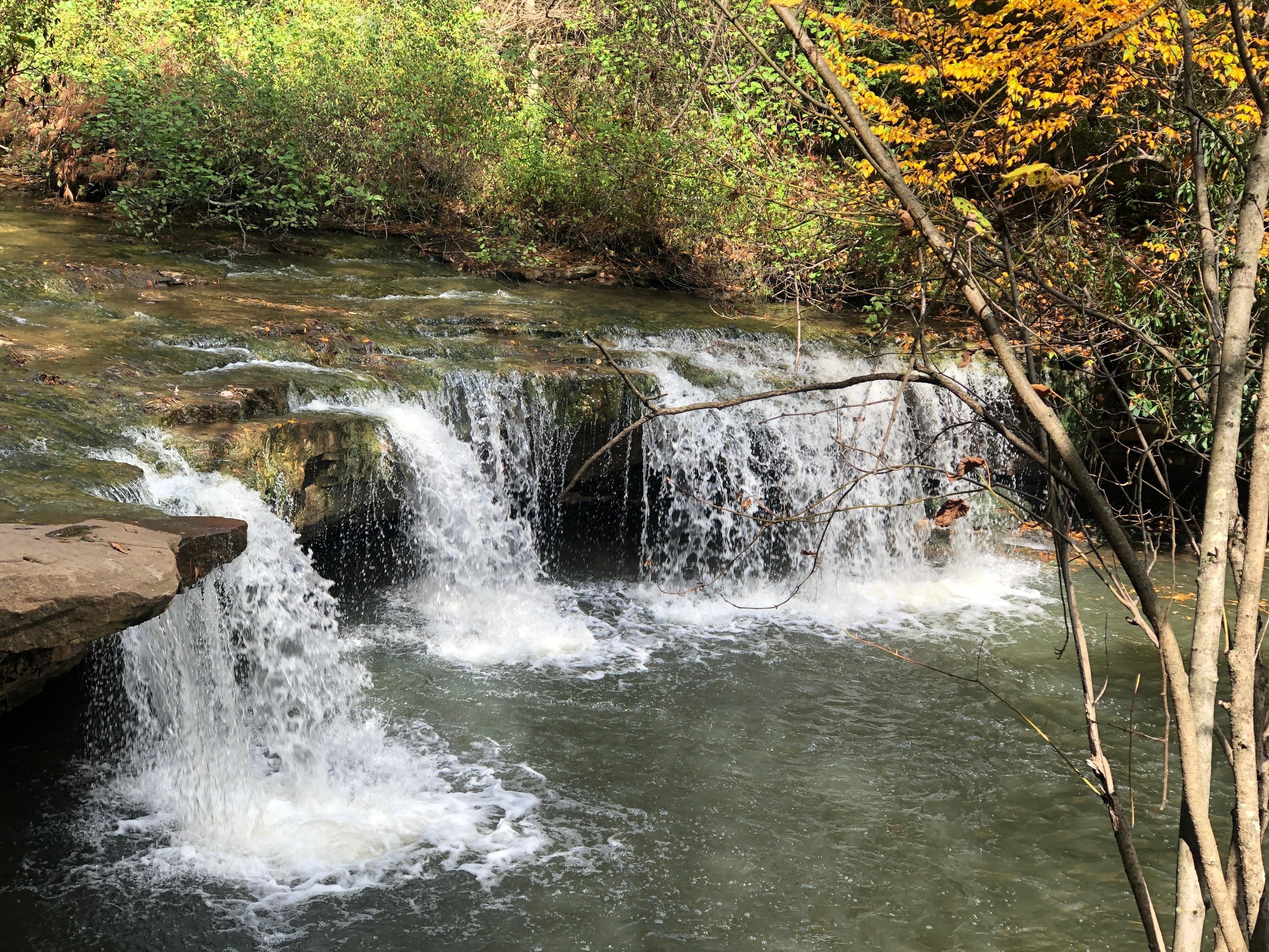 Black water river near Thomas 