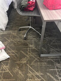 Stains and spills all over the carpet floors.