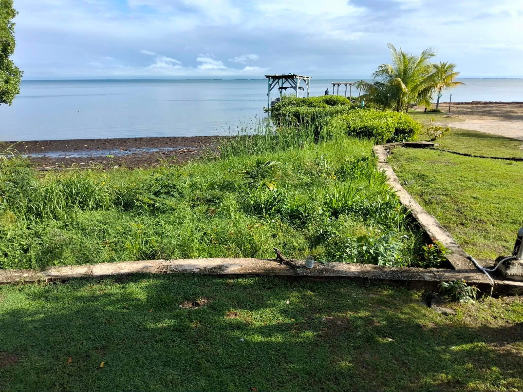 View from the front deck of the house.