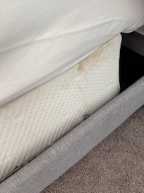 Dirty bedding