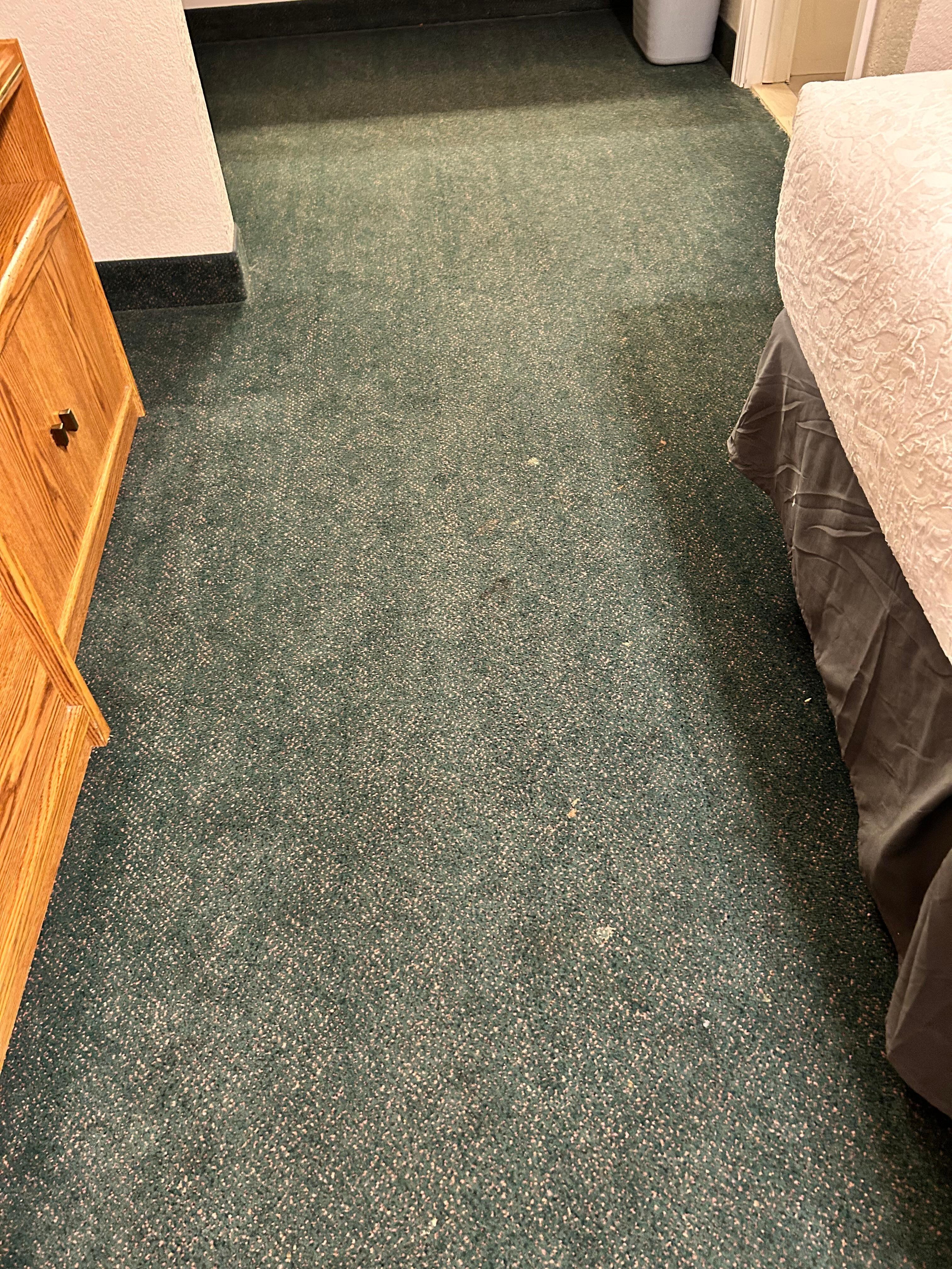 More filthy carpet