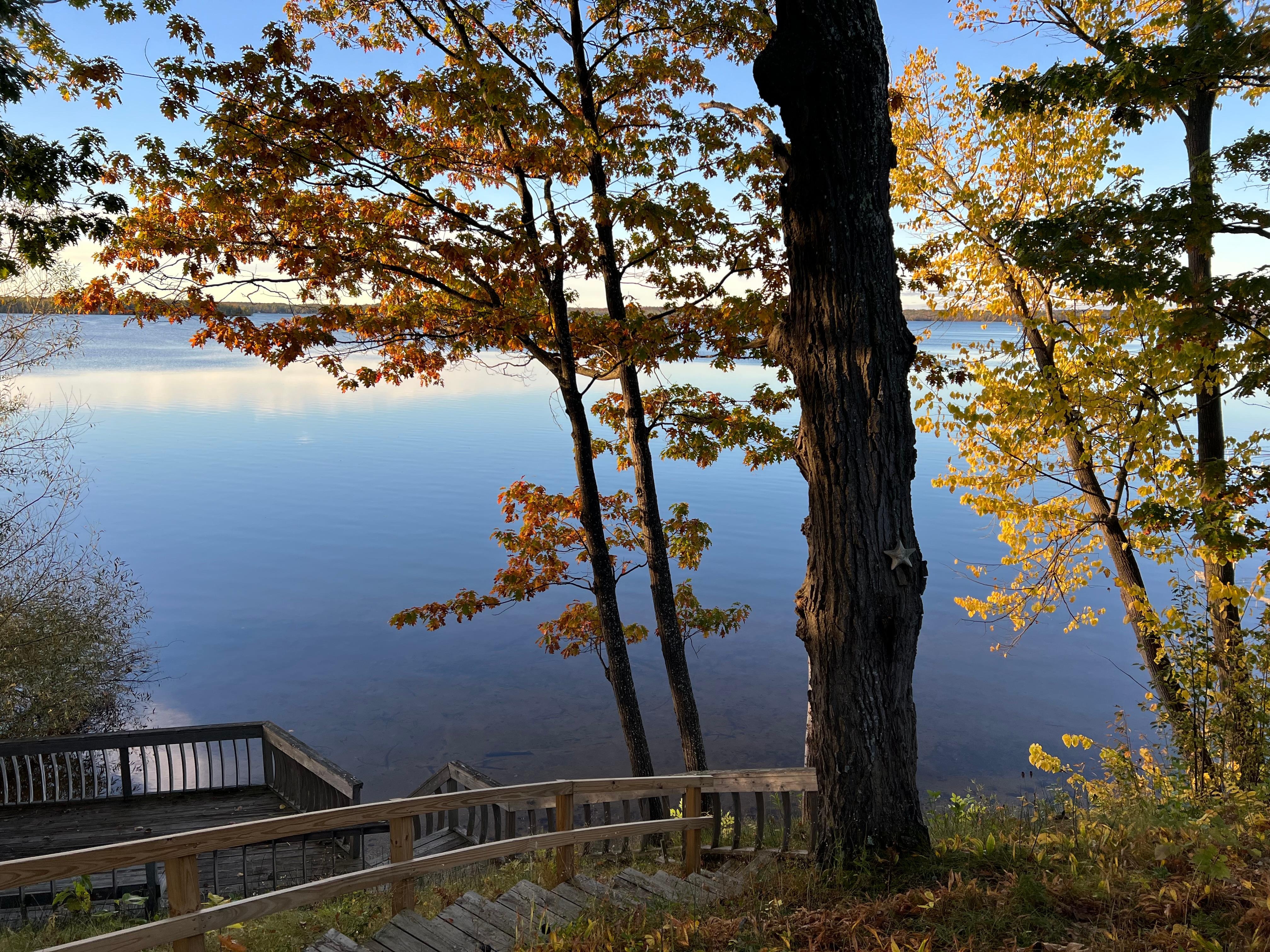 Lake view from cabin windows 