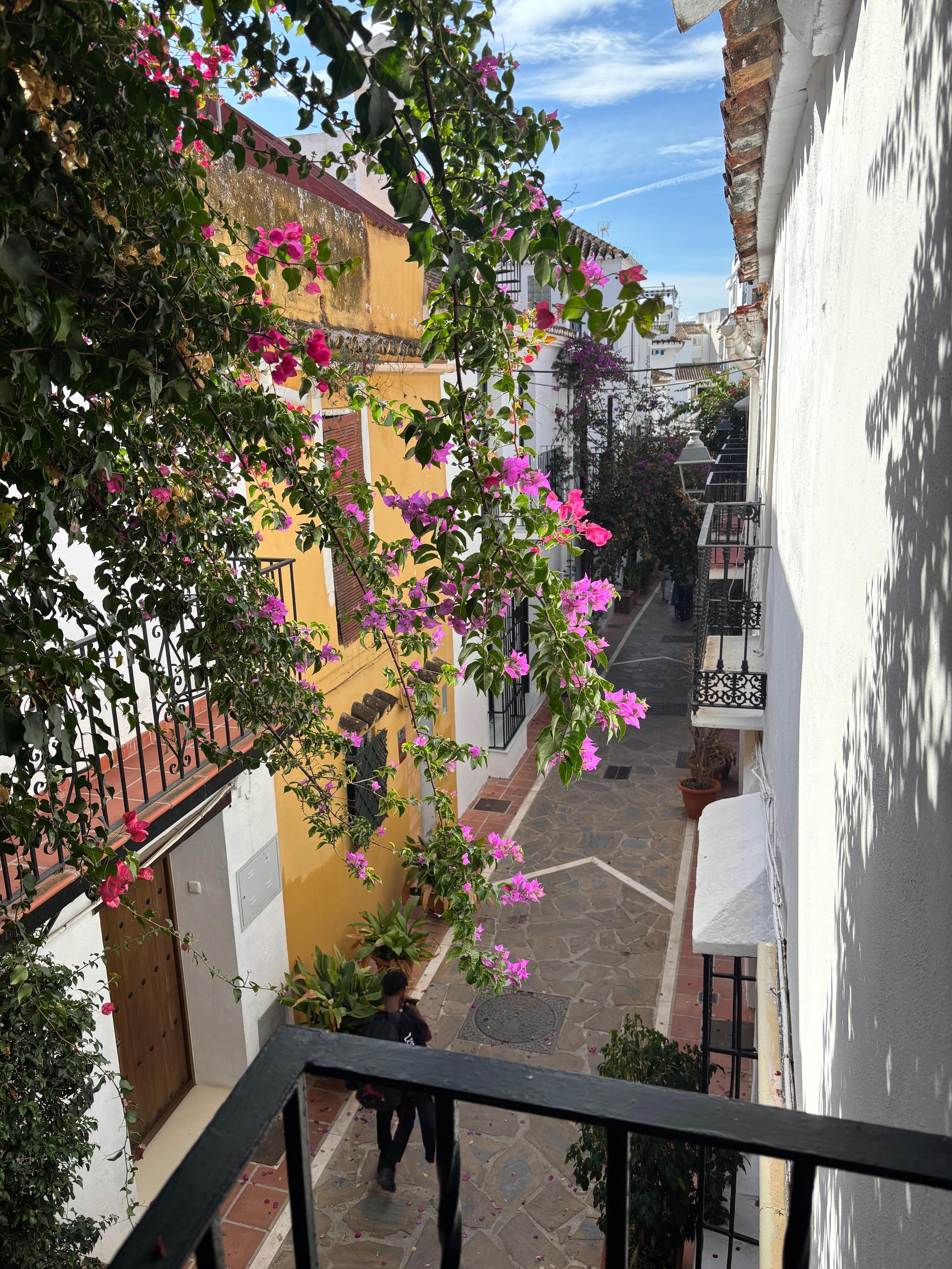 View from 2nd floor balcony