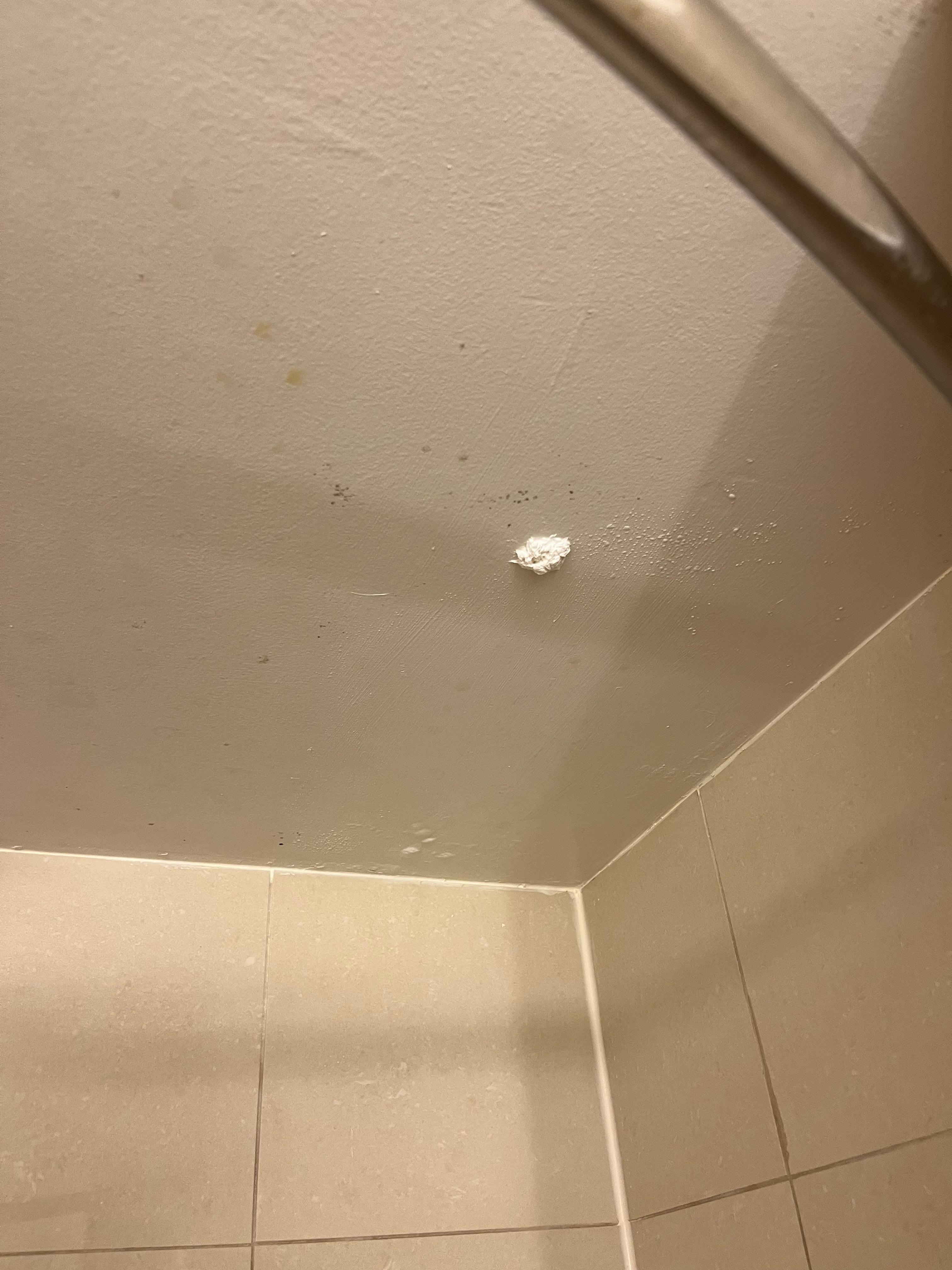 Someone’s toilet paper wad?