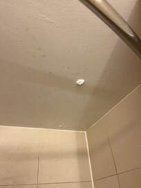 Someone’s toilet paper wad?