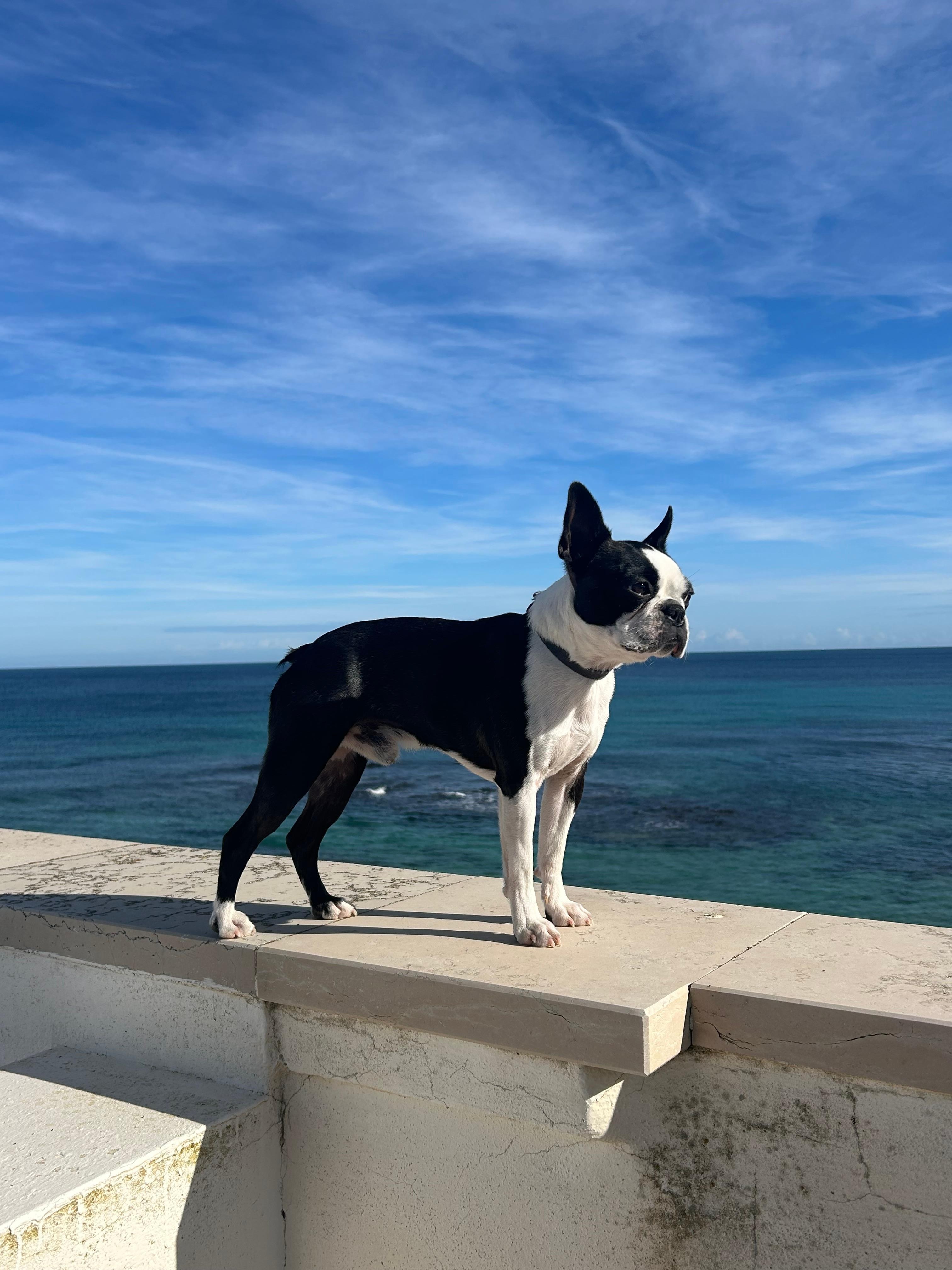 Vue panoramique depuis la terrasse 
