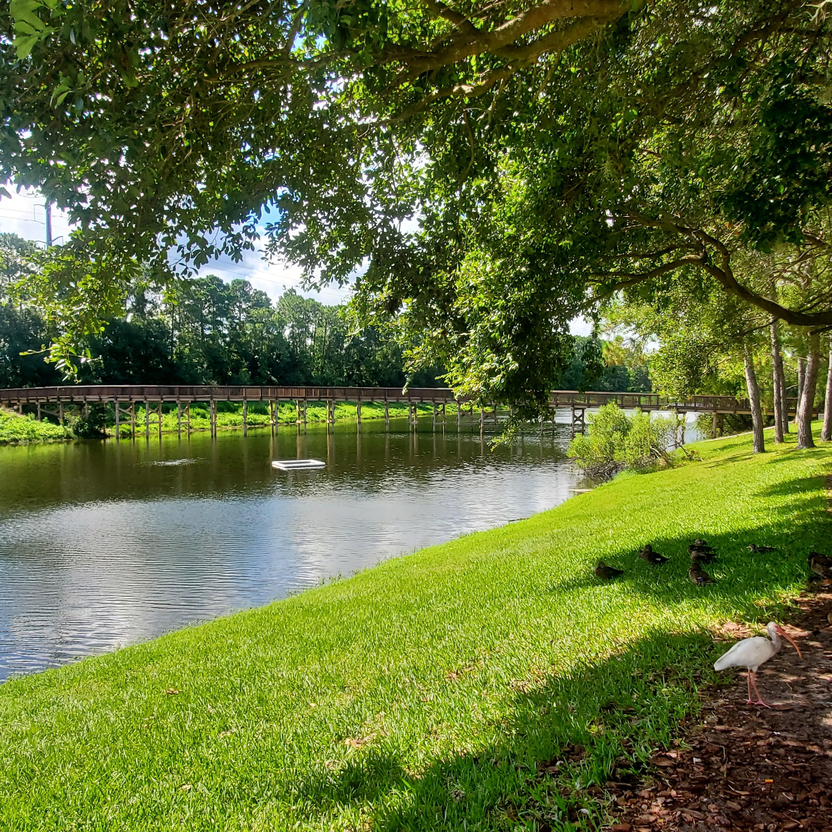 Lake area