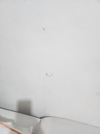 The wall next to the bed. My husband wiped it down before we went to bed.