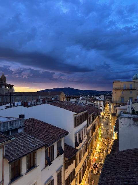 View from the terrace.