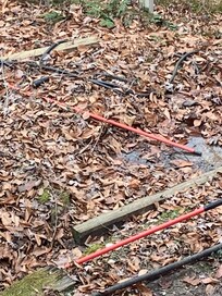 Back yard with what appears to be a sewage leak