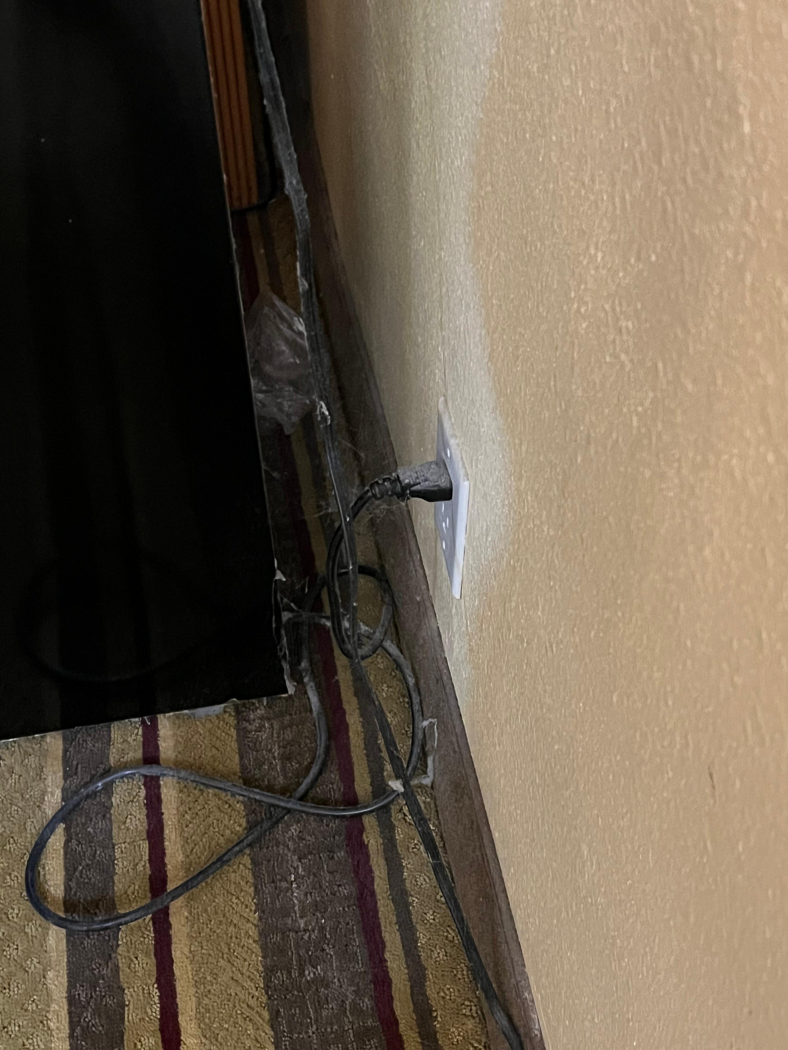 Cobwebs and caked dust
