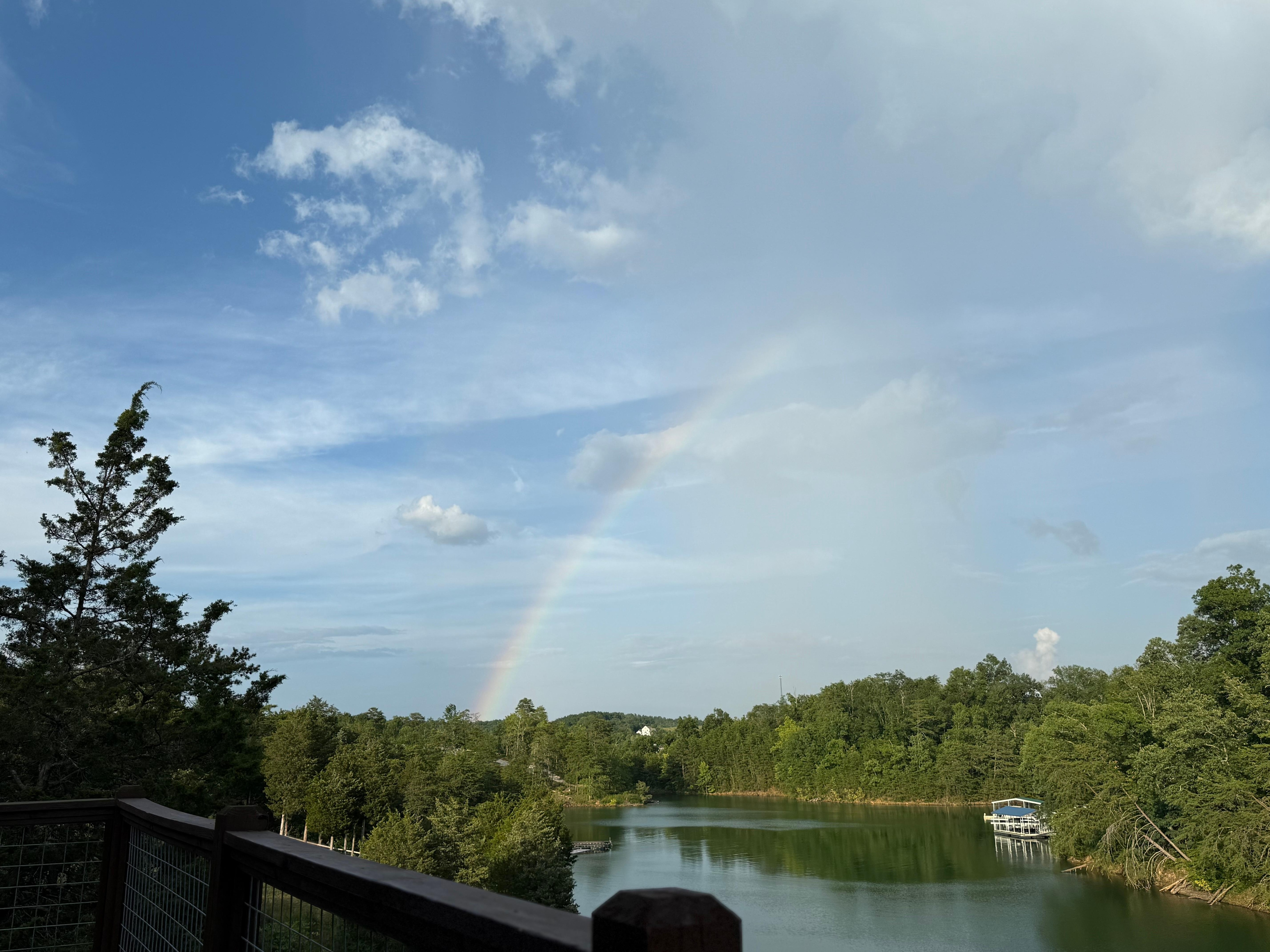 View from the back deck
