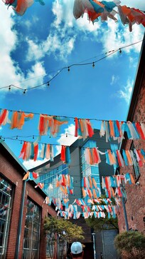 The alley between the apartment and the shops.