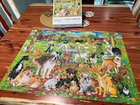 1,000 piece puzzle complete!