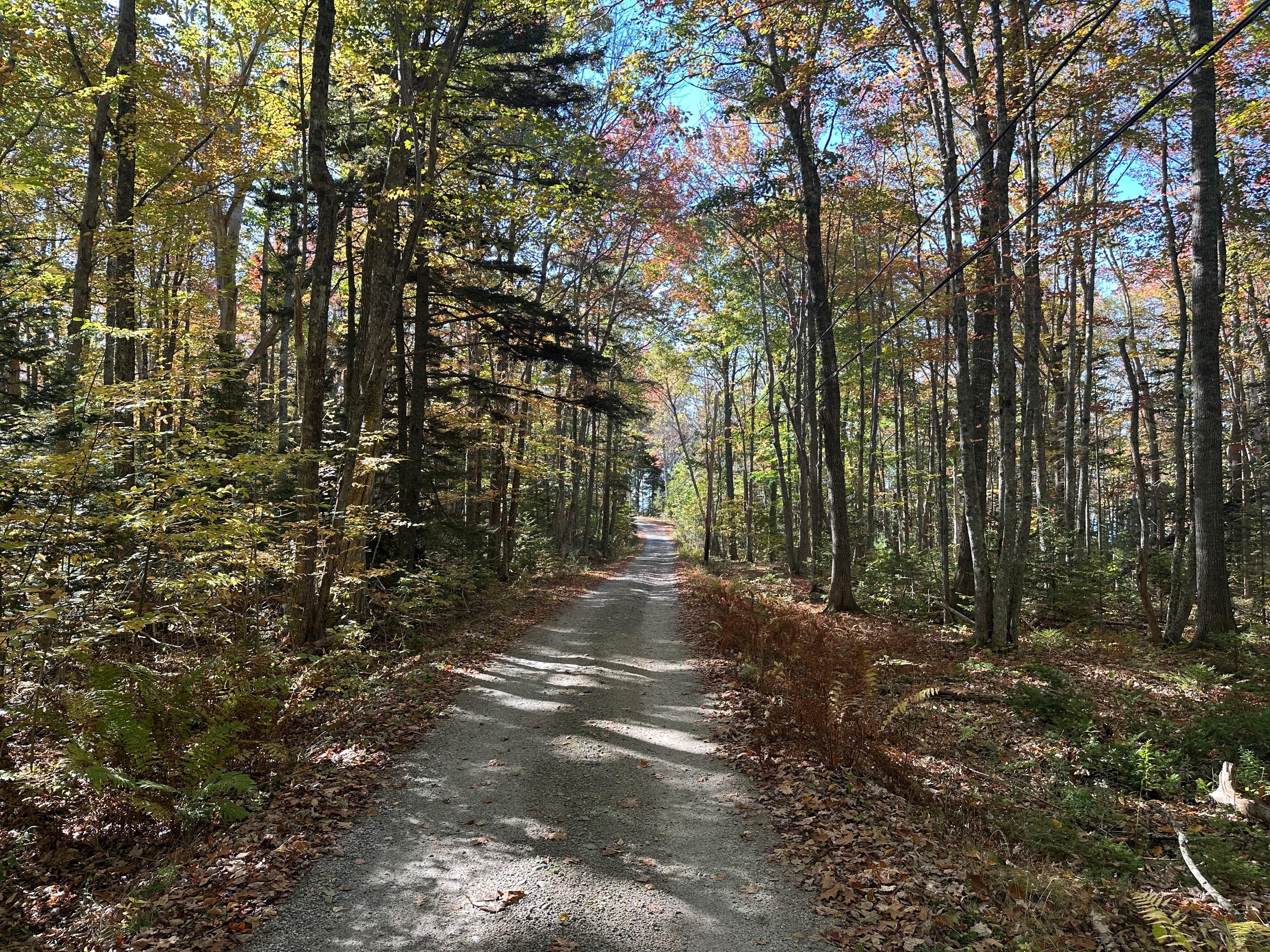 The lane to the house. 