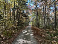 The lane to the house.