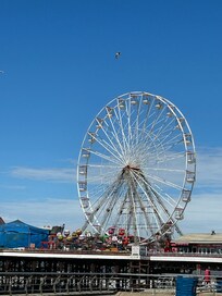 The pier