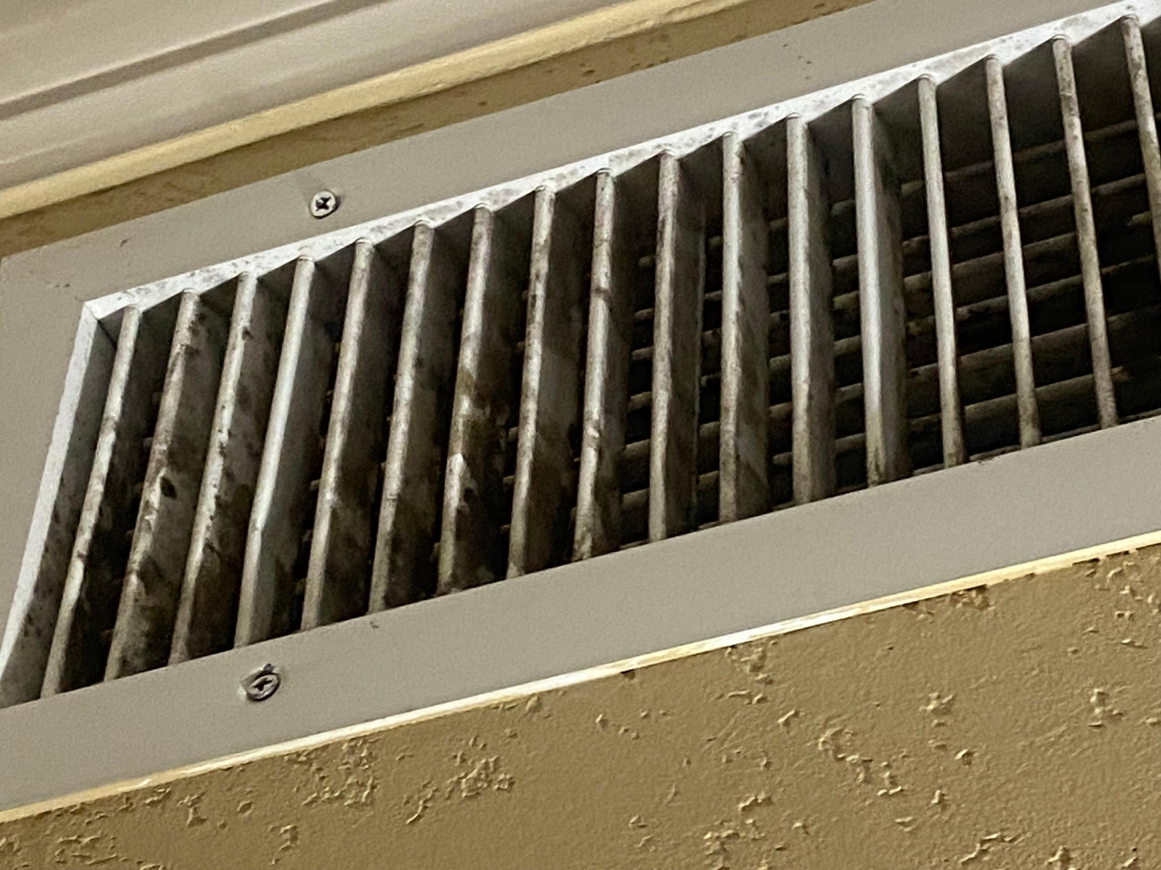 What appeared to be something like black mold on the air vent