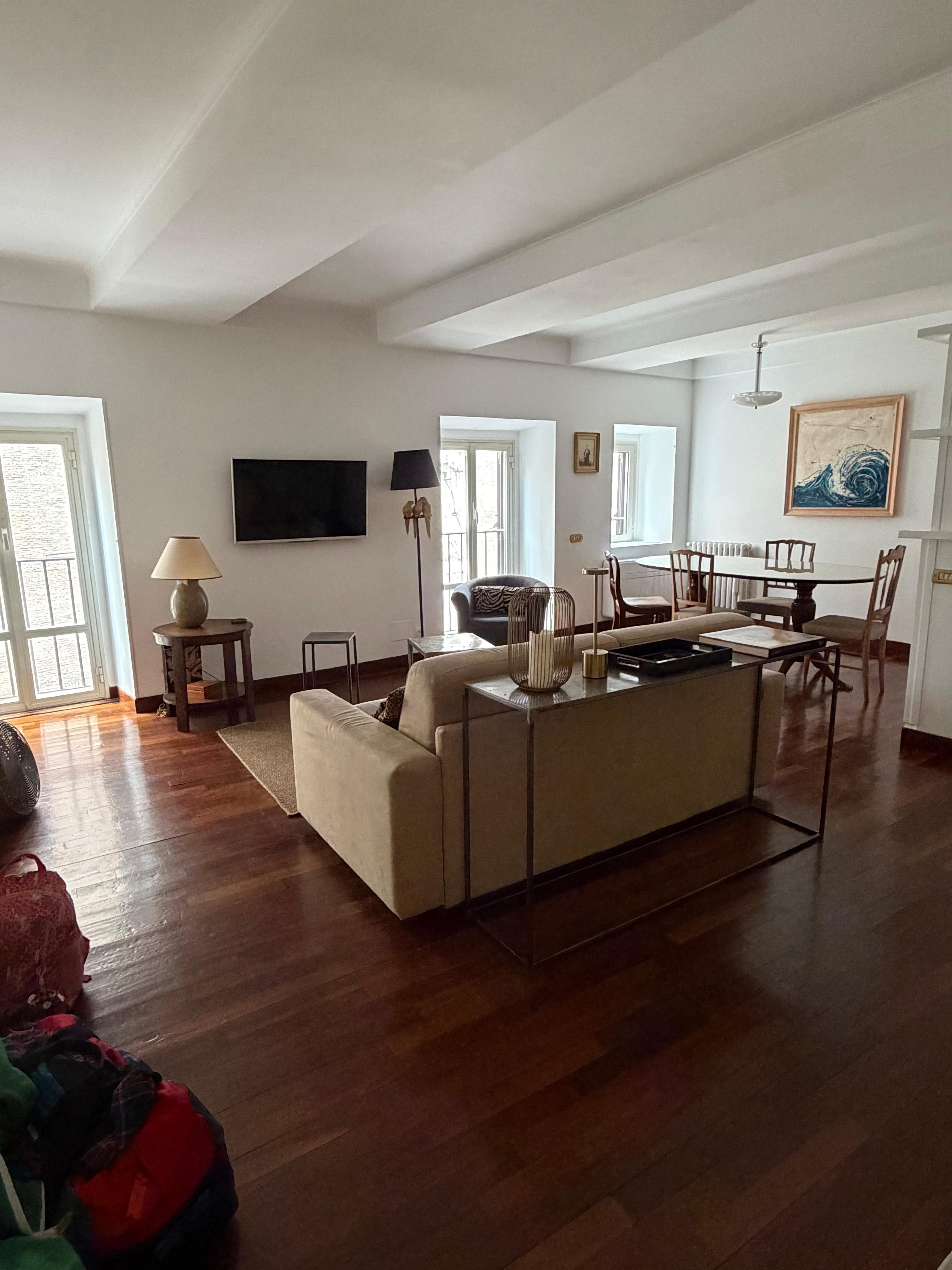 Living room with comfy pull out couch 