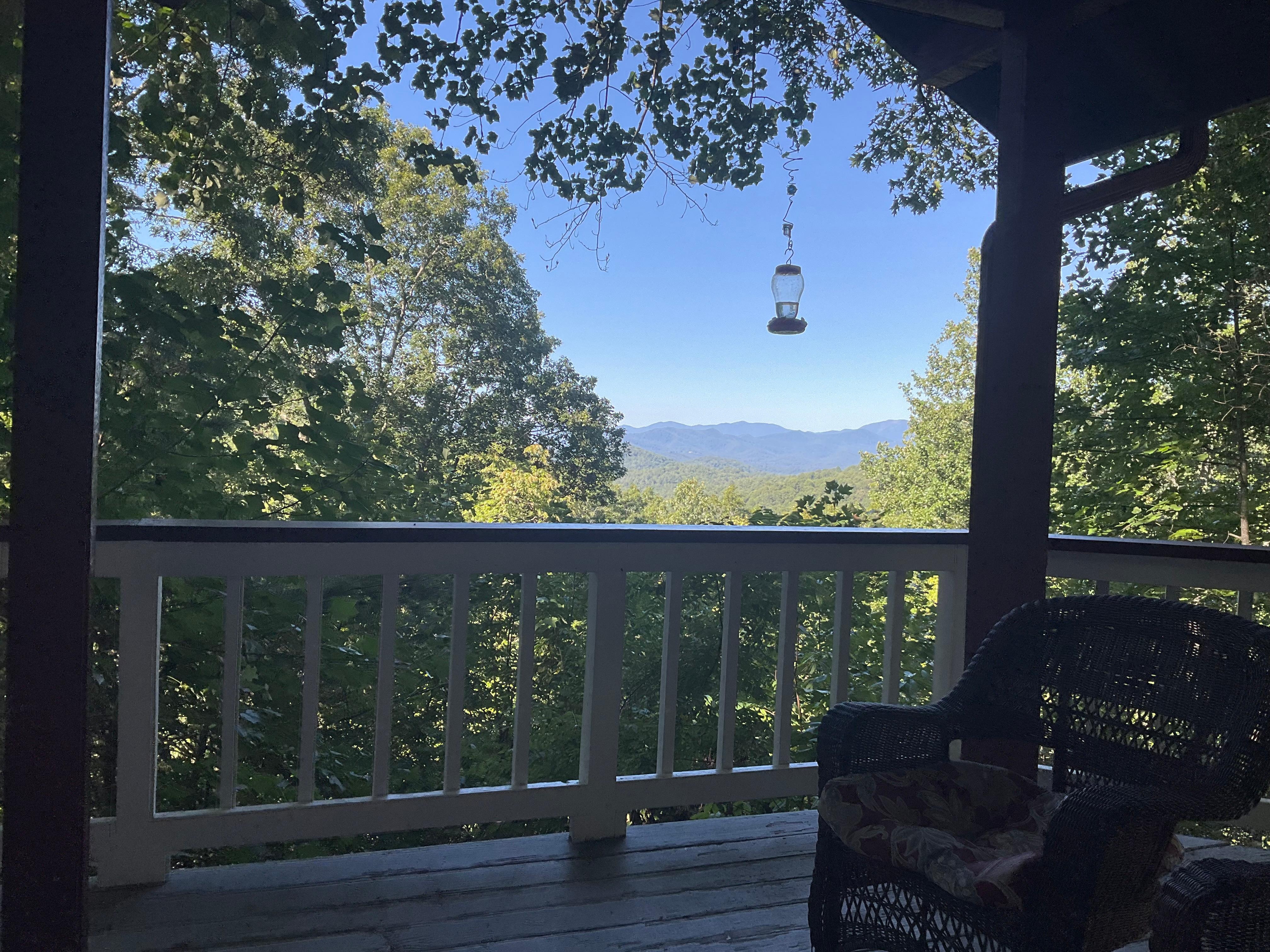 Humming Birds are plenty