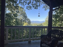 Humming Birds are plenty