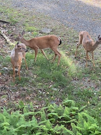 Enjoyed them everyday!