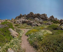 Capo Testa