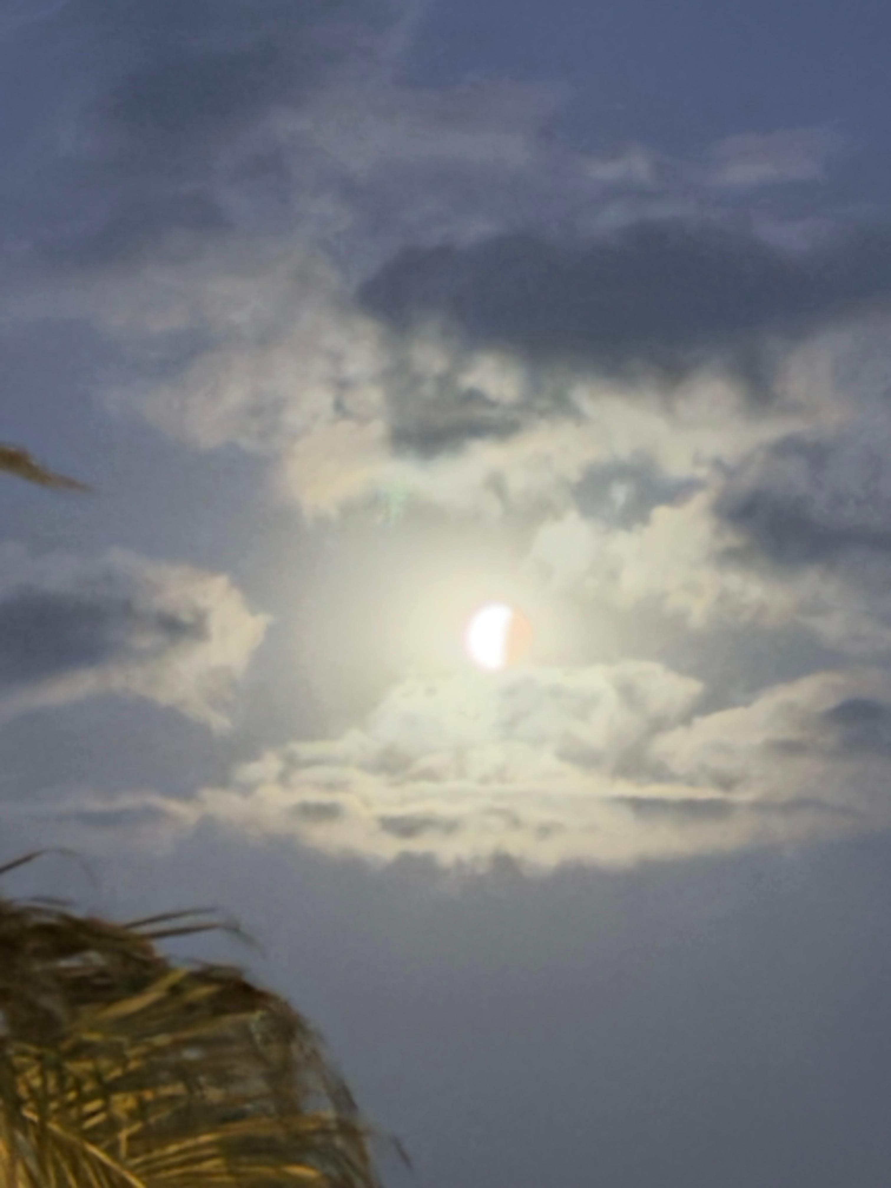 Caught the lunar eclipse from the balcony