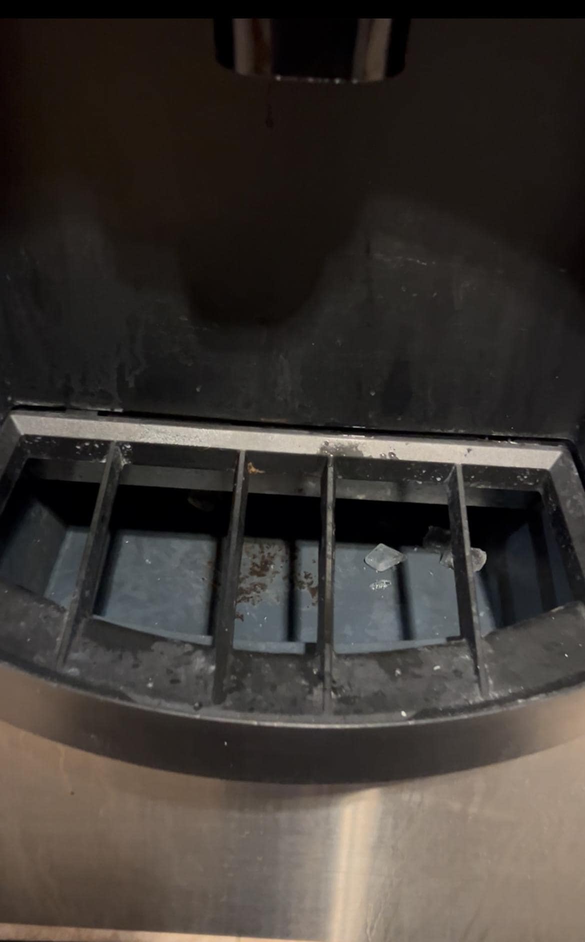 Disgusting ice machine 