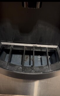 Disgusting ice machine