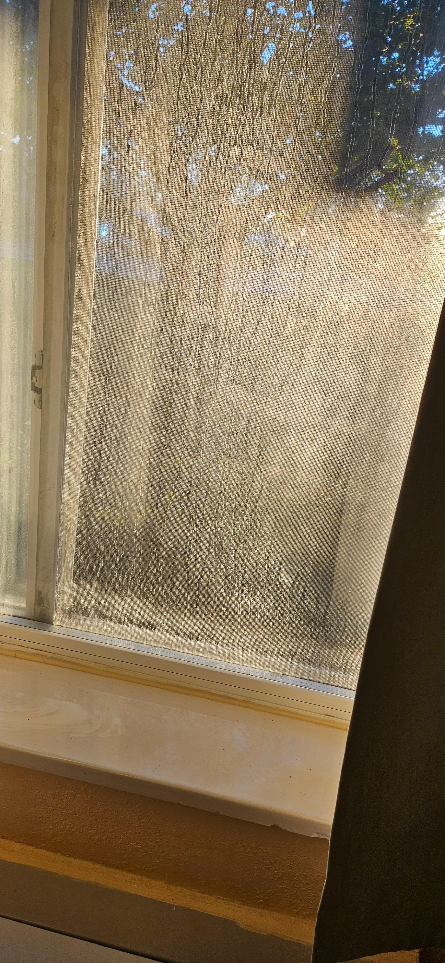 Can't see out window due to i don't know what