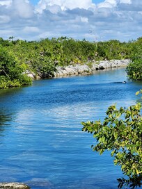 Yal-ku cenote